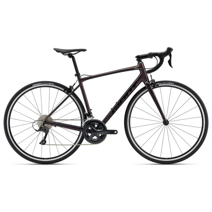 GIANT Contend 1, 700c 21,9", Rosewood (22)