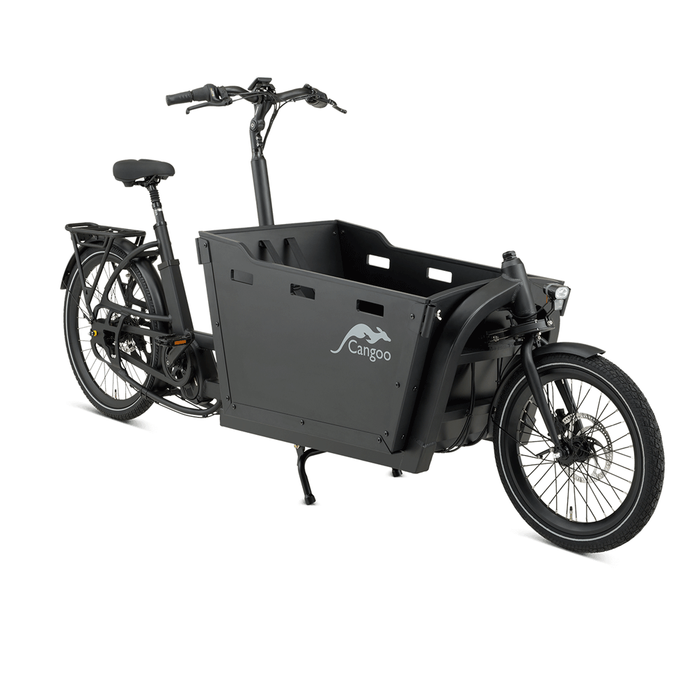 Elektriline kastiratas CANGOO Buzz - Image 3