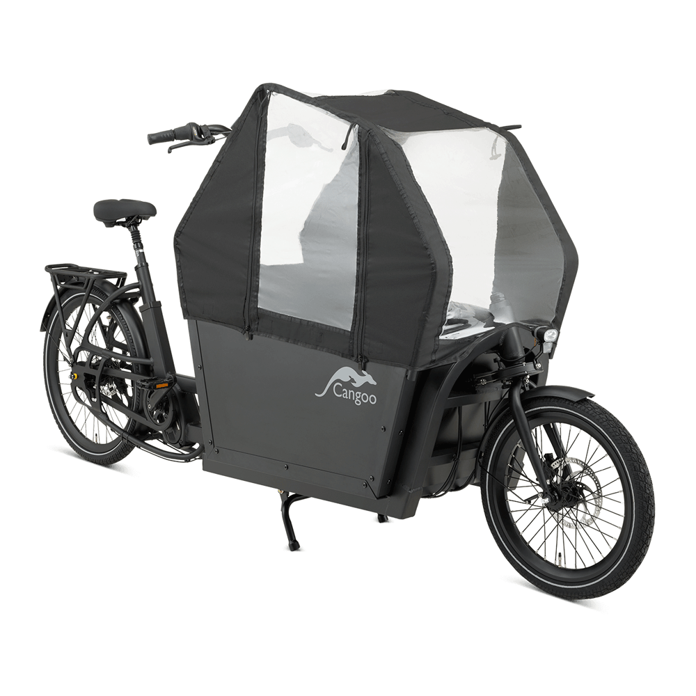 Elektriline kastiratas CANGOO Buzz - Image 4