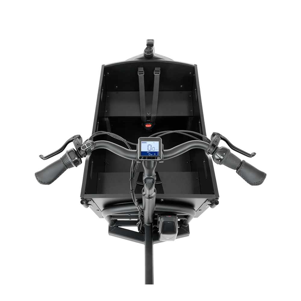 Elektriline kastiratas CANGOO Buzz - Image 5