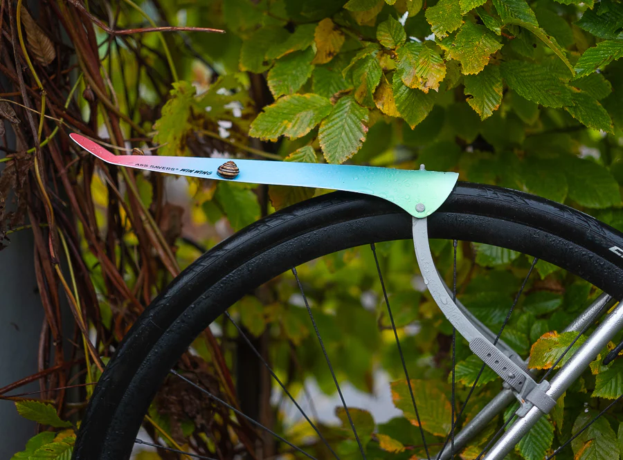 Tagaporilaud ASS SAVERS Win Wing Road Spektrum - Image 3