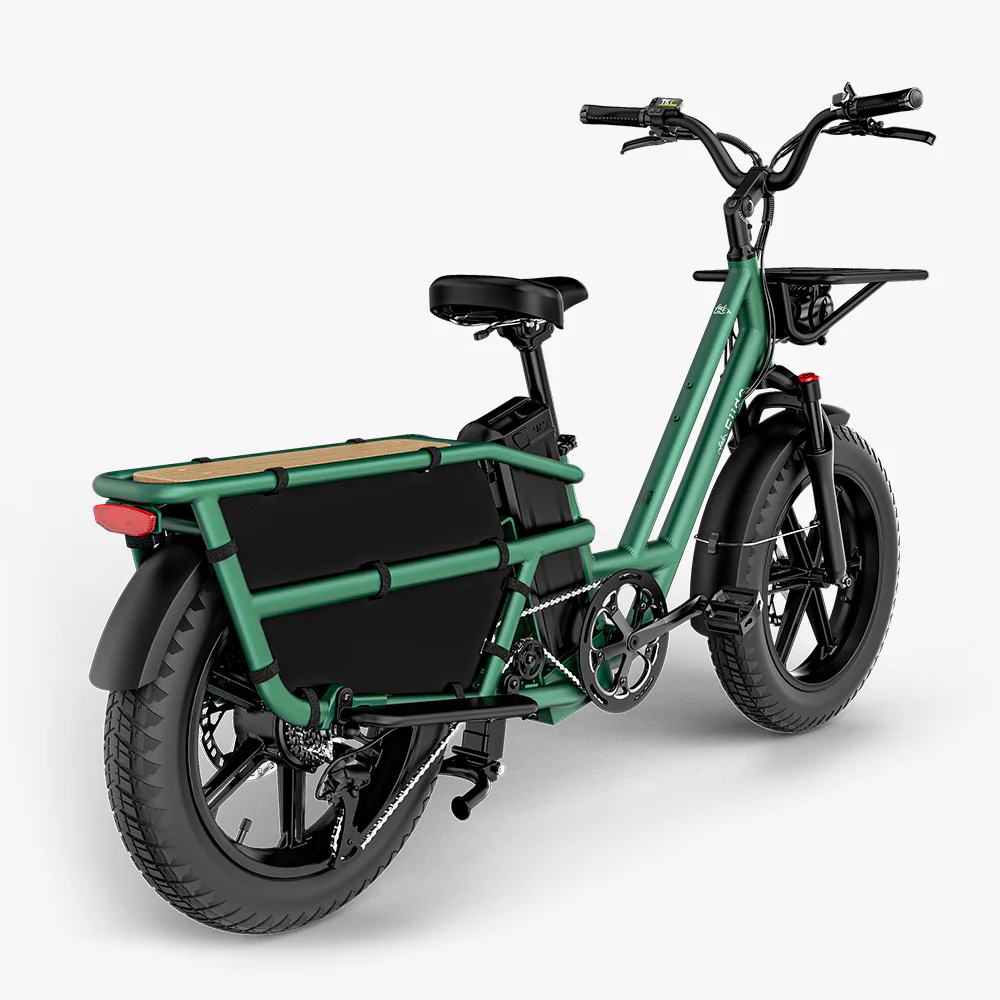 Elektriline kargoratas FIIDO T2 Longtail Cargo, Forest Green - Image 3