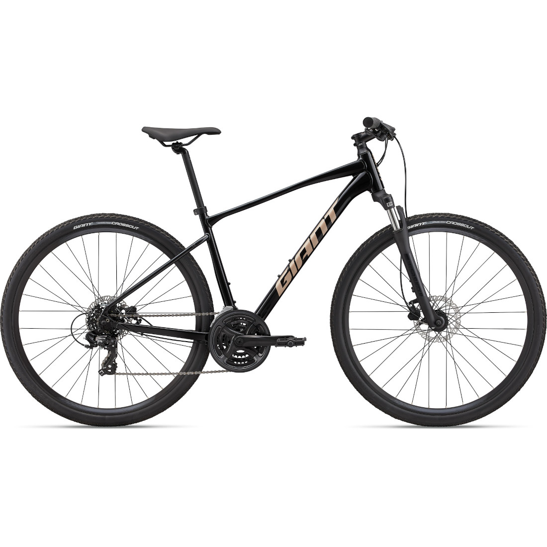 Jalgratas Giant Roam 4 Disc, Black (XL)