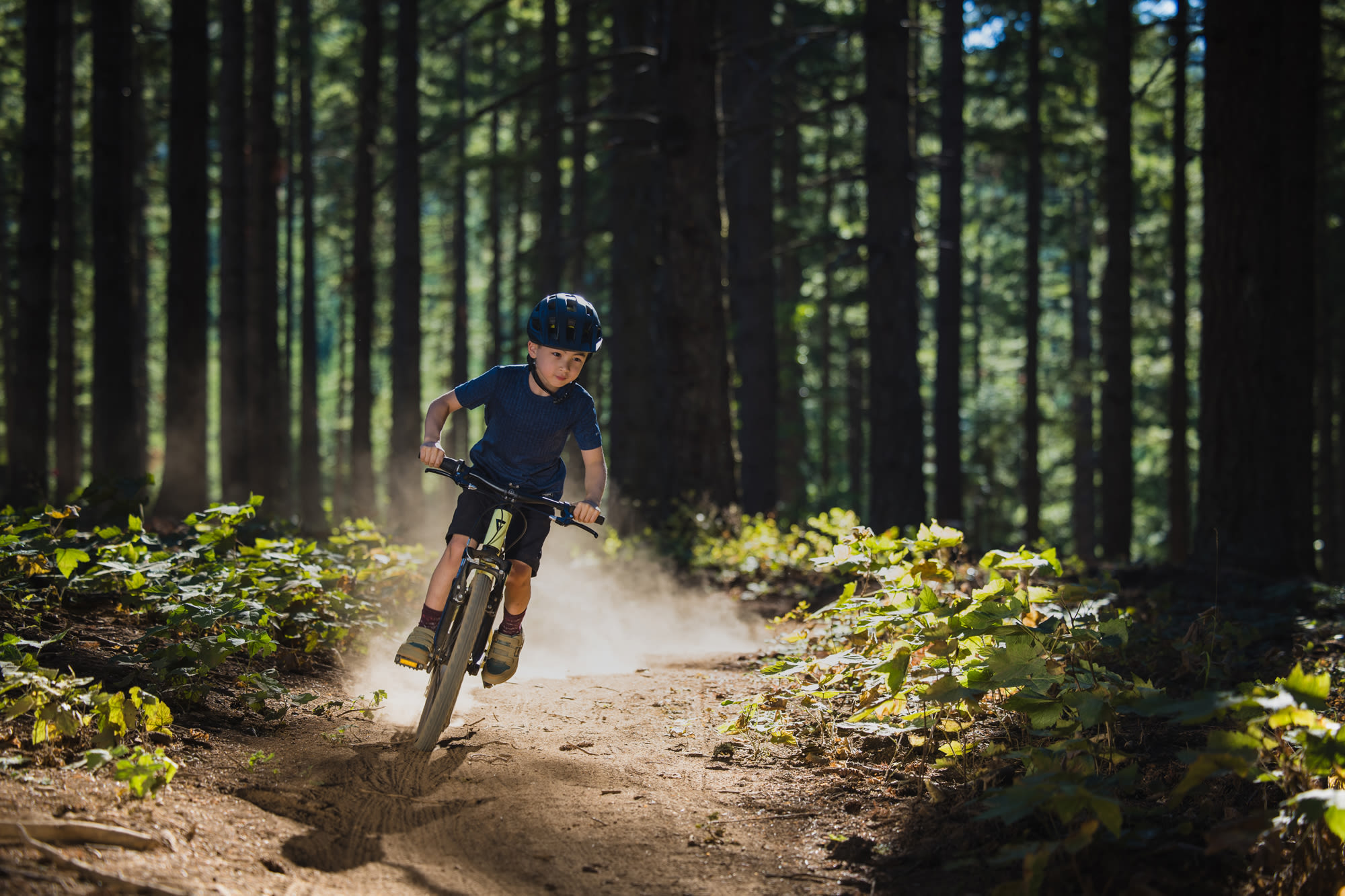 Laste jalgratas GIANT Talon 20, Muscat Blanc - Image 7