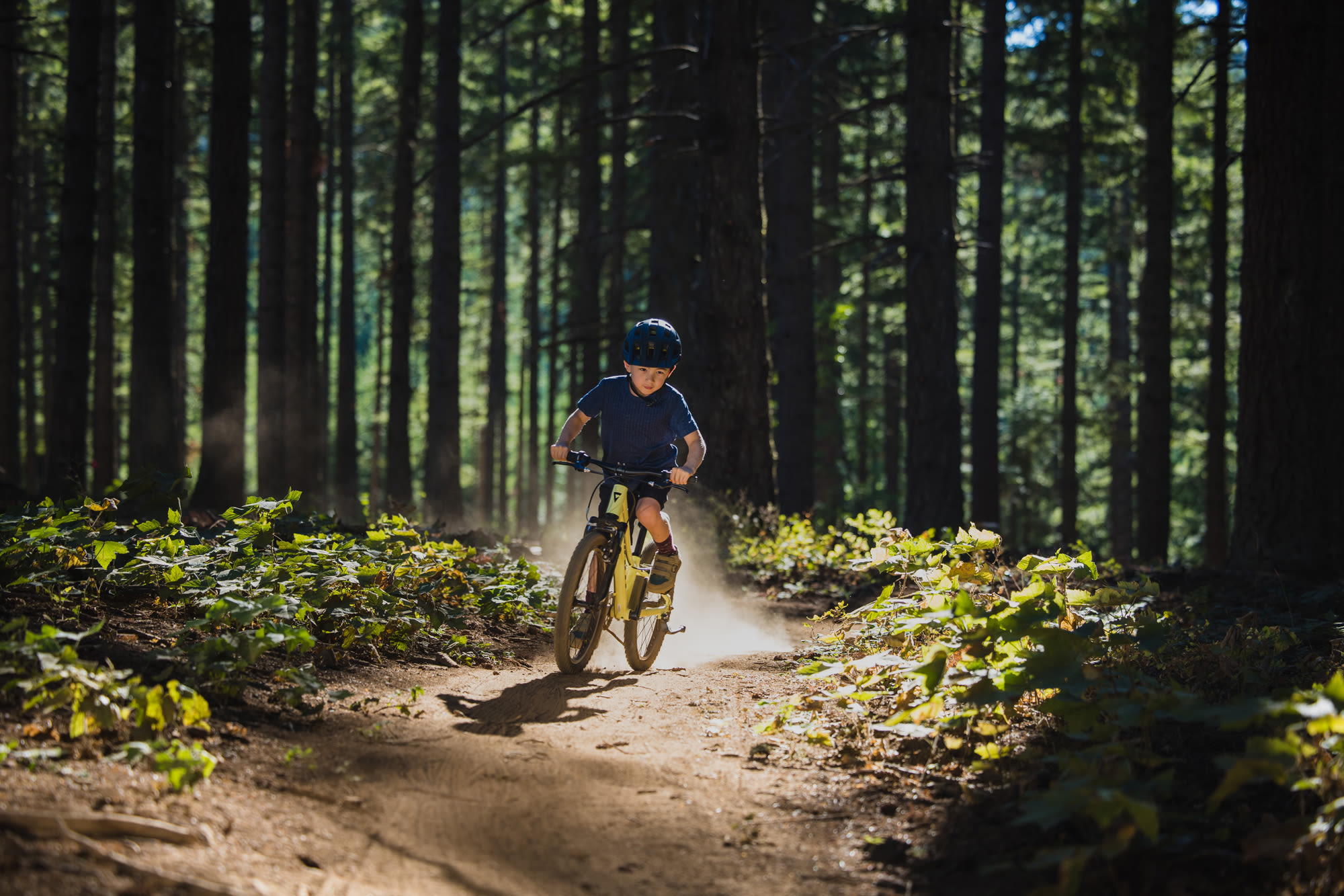 Laste jalgratas GIANT Talon 20, Muscat Blanc - Image 10