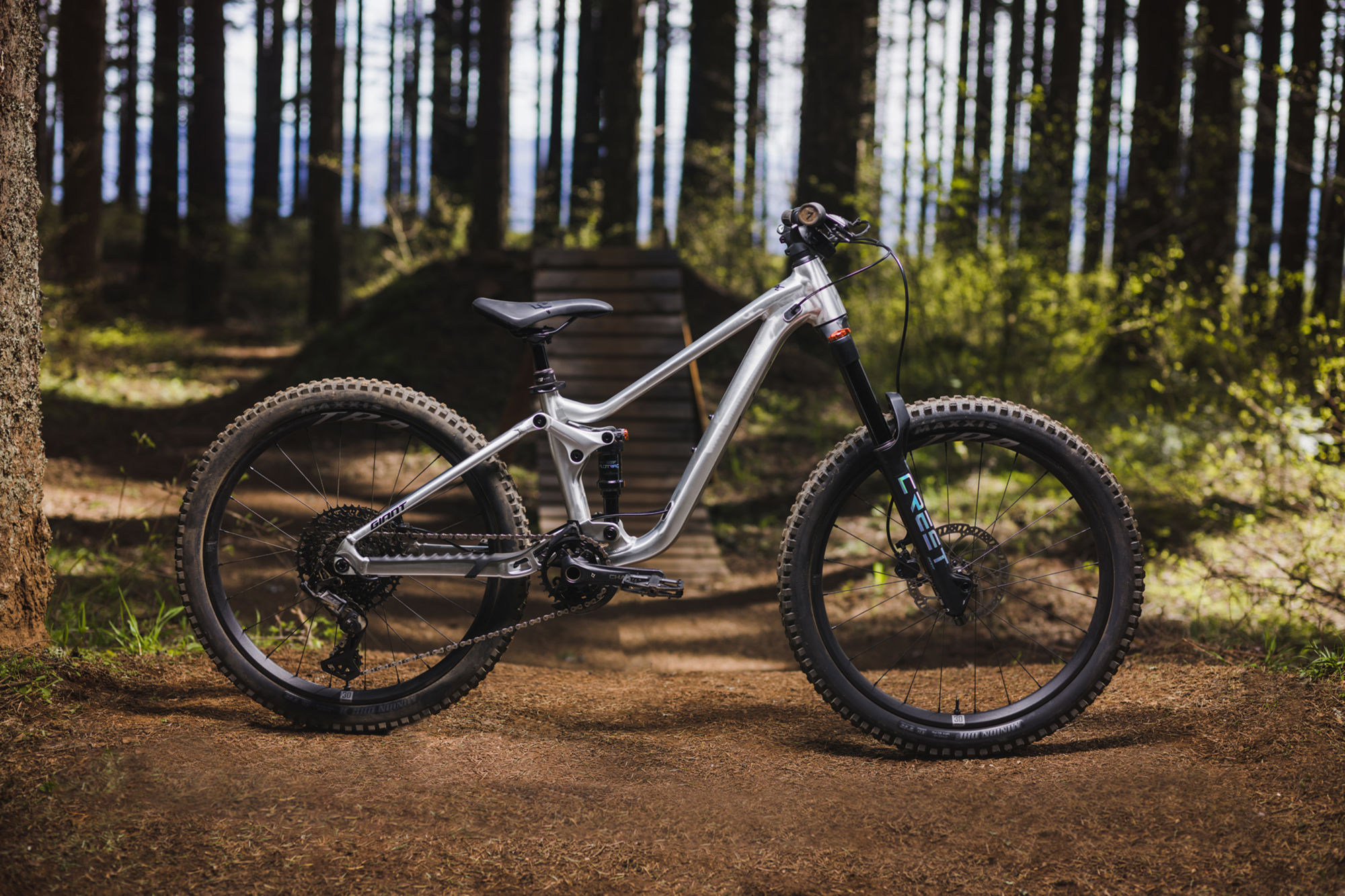 Laste jalgratas GIANT Faith 24, Raw Aluminium - Image 20