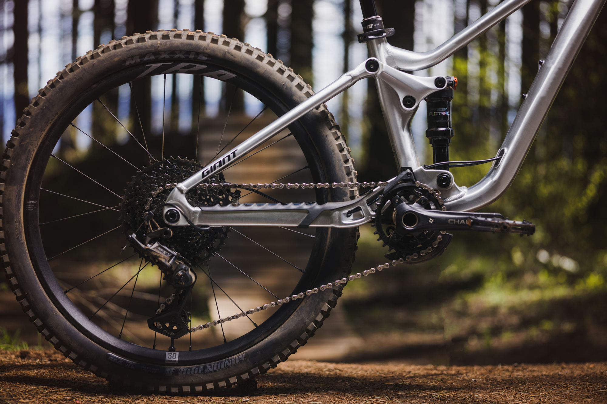 Laste jalgratas GIANT Faith 24, Raw Aluminium - Image 13