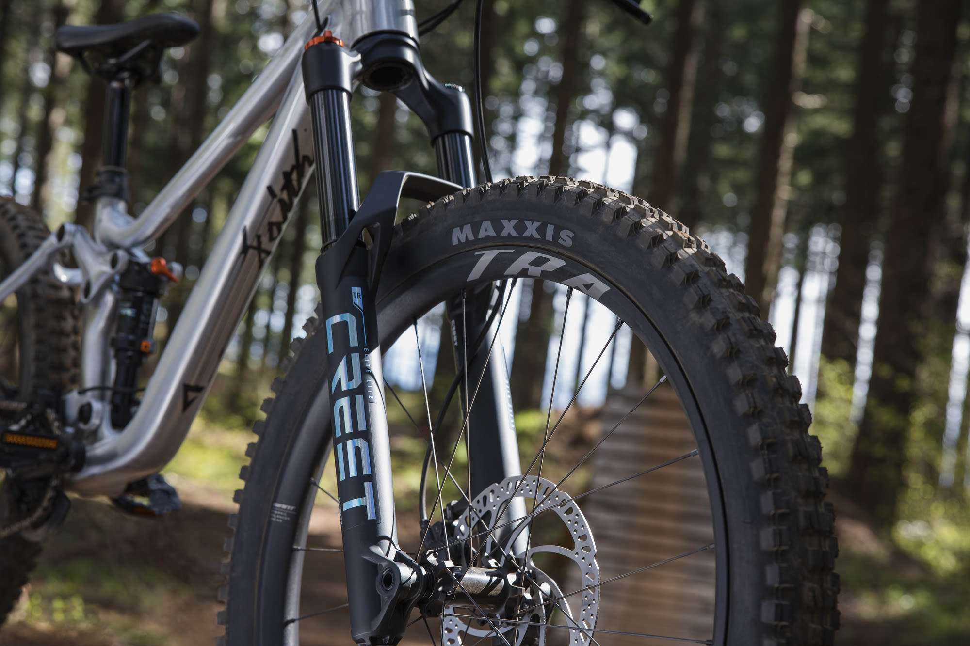 Laste jalgratas GIANT Faith 24, Raw Aluminium - Image 15