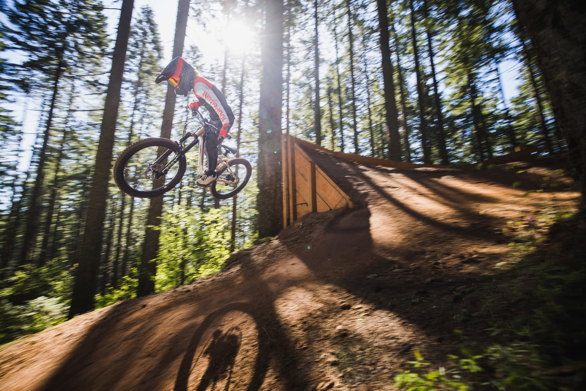 Laste jalgratas GIANT Faith 24, Raw Aluminium - Image 19