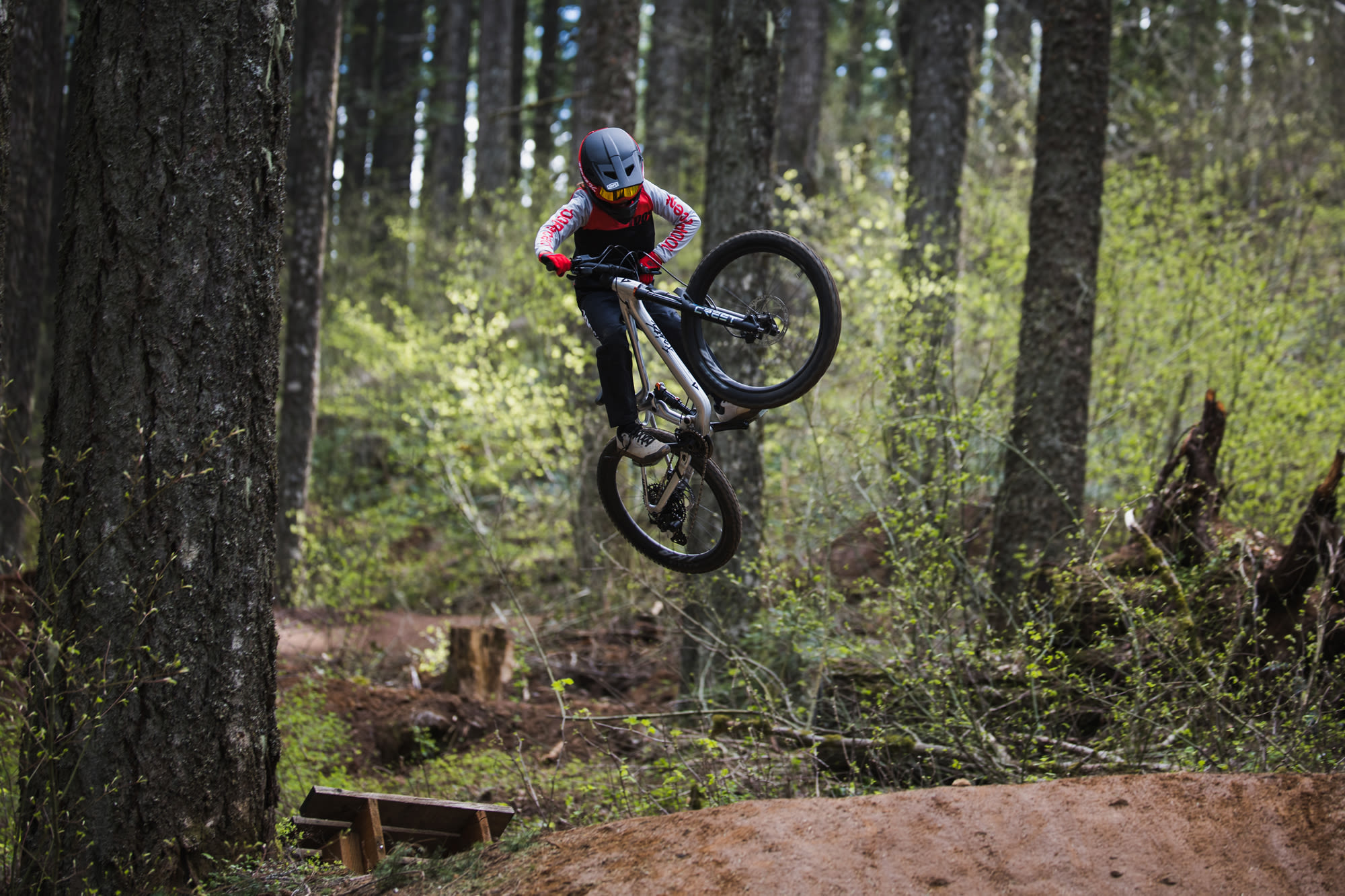 Laste jalgratas GIANT Faith 24, Raw Aluminium - Image 17