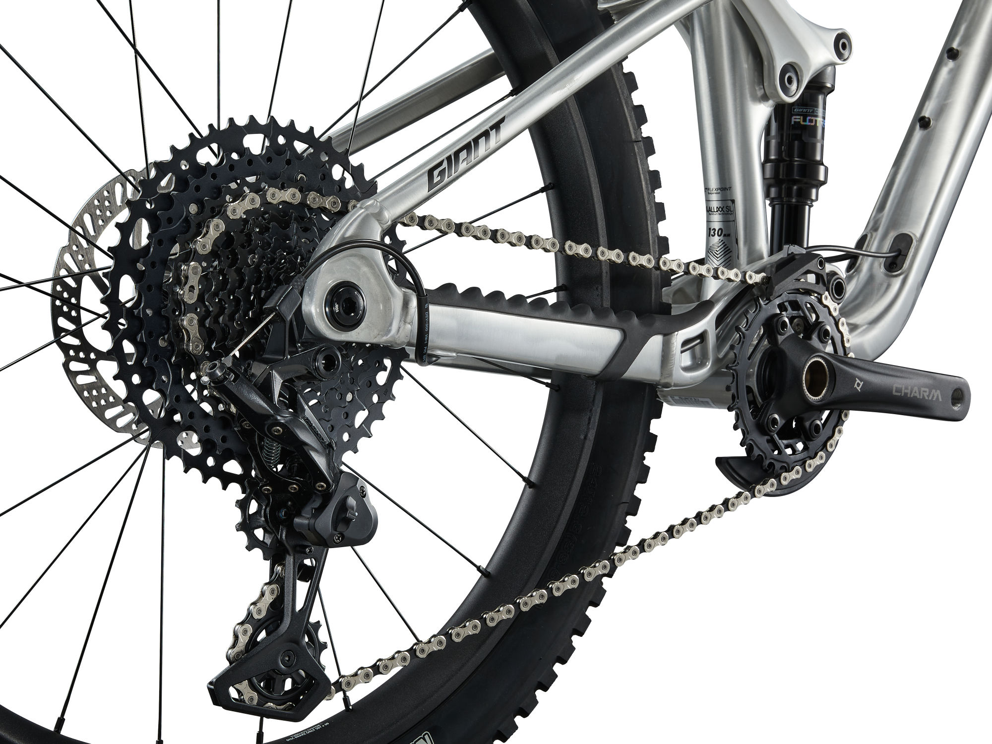 Laste jalgratas GIANT Faith 24, Raw Aluminium - Image 4