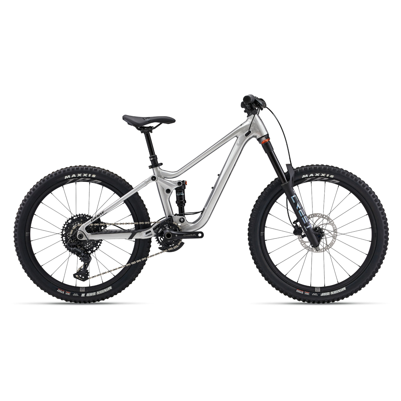 Laste jalgratas GIANT Faith 24, Raw Aluminium