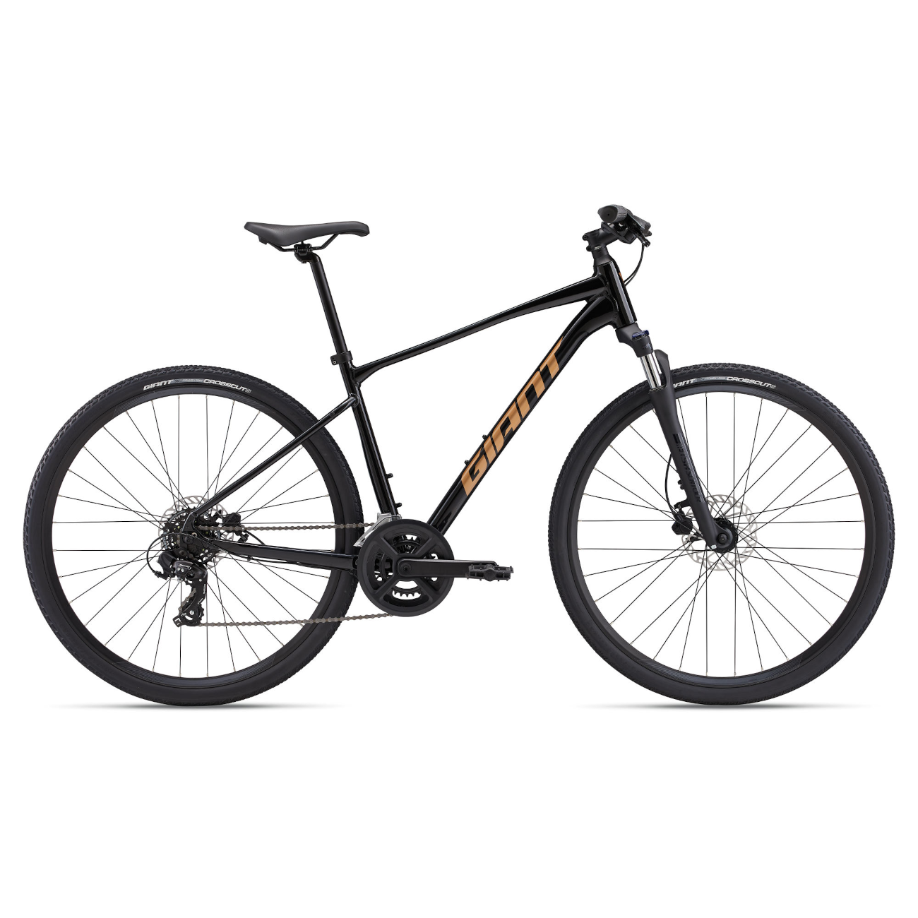 Jalgratas GIANT Roam 4, Black (XL)